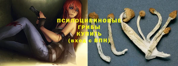 мдма Инта