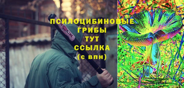 ECSTASY Инсар