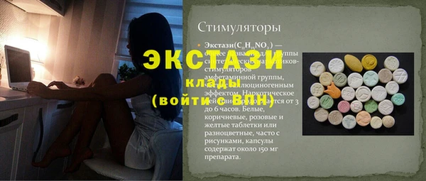 ECSTASY Инсар