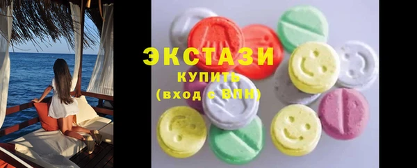 ECSTASY Инсар