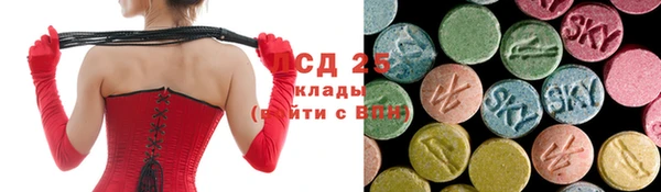 ECSTASY Инсар