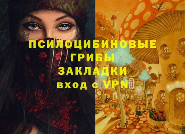 бутират Каменногорск
