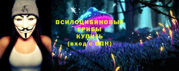 ECSTASY Инсар