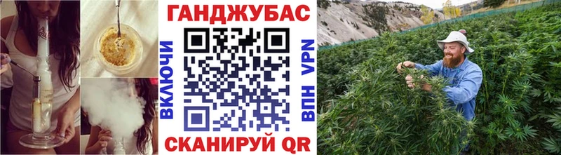 Конопля MAZAR  Купить где  Нижний Ломов 